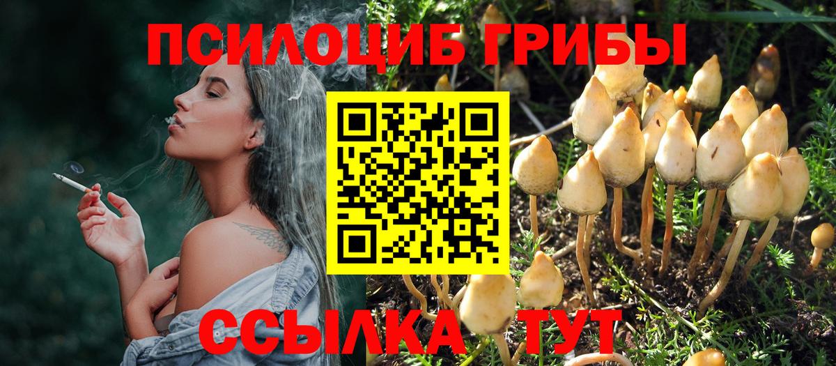 Галлюциногенные грибы Psilocybe  Вход с VPN  Псилоцибиновые грибы Psilocybine cubensis  Кольчугино 