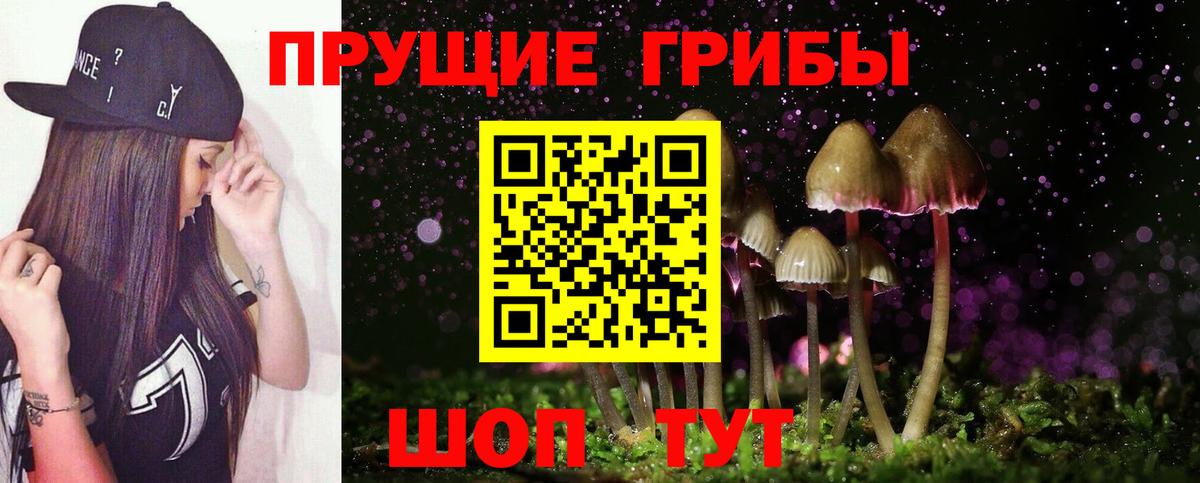 Псилоцибиновые грибы Magic Shrooms Кольчугино